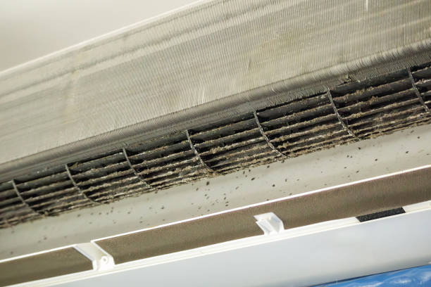 Best HVAC Air Duct Cleaning  in USA